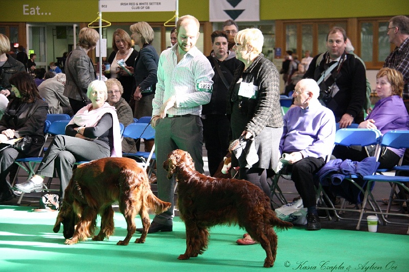 Crufts2011 715.jpg